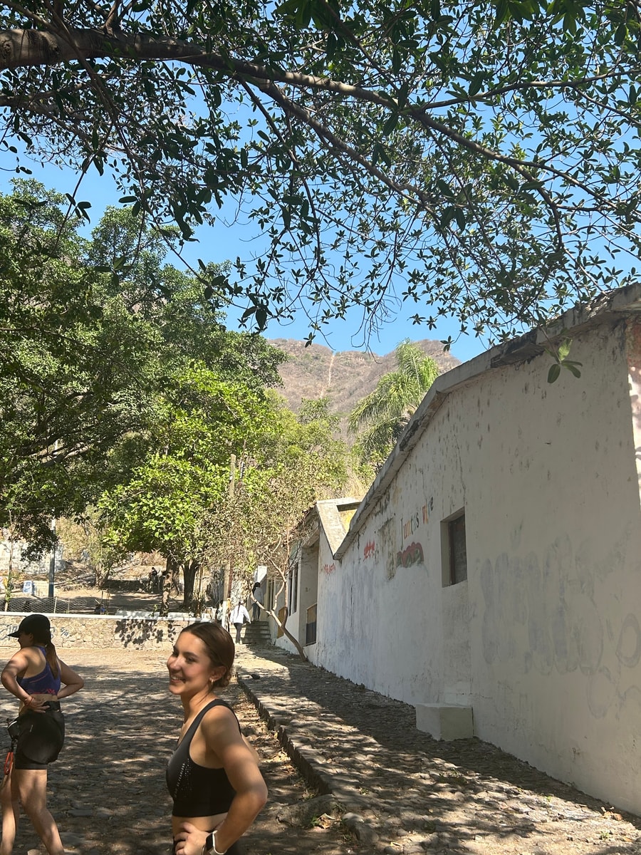 Casa en el bosque encantado de la primavera  2