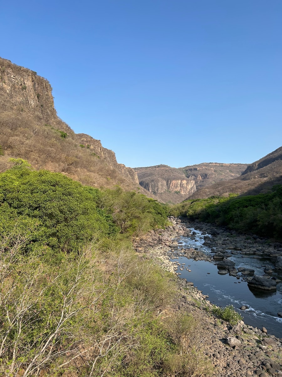 Townhome moderno en Jardines Universidad 3