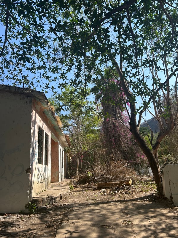 Casa en el bosque encantado de la primavera 