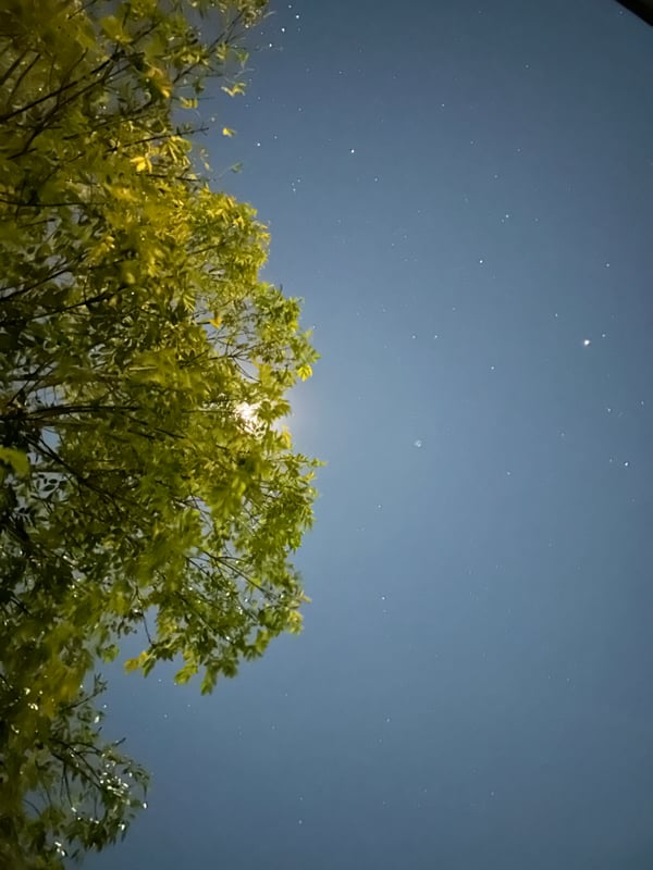 Desarrollo Torre Alba - preventa